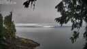 ./images/koeye/fitz-hugh/20260815/fitz-hugh20260815_103501M.jpg