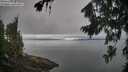 ./images/koeye/fitz-hugh/20260815/fitz-hugh20260815_104001M.jpg