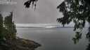 ./images/koeye/fitz-hugh/20260815/fitz-hugh20260815_104501M.jpg