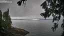 ./images/koeye/fitz-hugh/20260815/fitz-hugh20260815_105002M.jpg