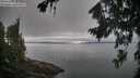 ./images/koeye/fitz-hugh/20260815/fitz-hugh20260815_105501M.jpg