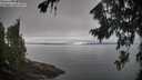 ./images/koeye/fitz-hugh/20260815/fitz-hugh20260815_110001M.jpg