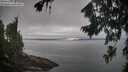 ./images/koeye/fitz-hugh/20260815/fitz-hugh20260815_110501M.jpg