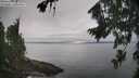 ./images/koeye/fitz-hugh/20260815/fitz-hugh20260815_111001M.jpg