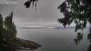 ./images/koeye/fitz-hugh/20260815/fitz-hugh20260815_112001M.jpg