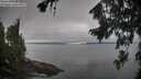 ./images/koeye/fitz-hugh/20260815/fitz-hugh20260815_113001M.jpg
