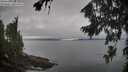 ./images/koeye/fitz-hugh/20260815/fitz-hugh20260815_113501M.jpg
