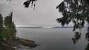 ./images/koeye/fitz-hugh/20260815/fitz-hugh20260815_114001M.jpg