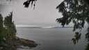 ./images/koeye/fitz-hugh/20260815/fitz-hugh20260815_114501M.jpg