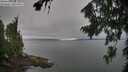 ./images/koeye/fitz-hugh/20260815/fitz-hugh20260815_115001M.jpg