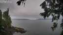 ./images/koeye/fitz-hugh/20260815/fitz-hugh20260815_115501M.jpg
