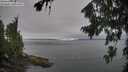 ./images/koeye/fitz-hugh/20260815/fitz-hugh20260815_120002M.jpg