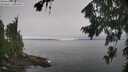./images/koeye/fitz-hugh/20260815/fitz-hugh20260815_120501M.jpg