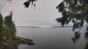 ./images/koeye/fitz-hugh/20260815/fitz-hugh20260815_122501M.jpg
