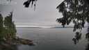 ./images/koeye/fitz-hugh/20260815/fitz-hugh20260815_123501M.jpg