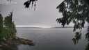 ./images/koeye/fitz-hugh/20260815/fitz-hugh20260815_124001M.jpg