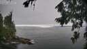 ./images/koeye/fitz-hugh/20260815/fitz-hugh20260815_124501M.jpg