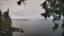 ./images/koeye/fitz-hugh/20260815/fitz-hugh20260815_131501M.jpg