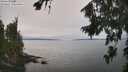 ./images/koeye/fitz-hugh/20260815/fitz-hugh20260815_132002M.jpg