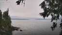 ./images/koeye/fitz-hugh/20260815/fitz-hugh20260815_132501M.jpg