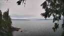 ./images/koeye/fitz-hugh/20260815/fitz-hugh20260815_133001M.jpg