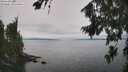 ./images/koeye/fitz-hugh/20260815/fitz-hugh20260815_133501M.jpg