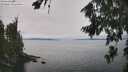./images/koeye/fitz-hugh/20260815/fitz-hugh20260815_134001M.jpg