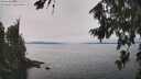 ./images/koeye/fitz-hugh/20260815/fitz-hugh20260815_134501M.jpg