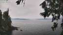 ./images/koeye/fitz-hugh/20260815/fitz-hugh20260815_135002M.jpg