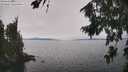 ./images/koeye/fitz-hugh/20260815/fitz-hugh20260815_141001M.jpg