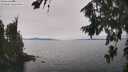 ./images/koeye/fitz-hugh/20260815/fitz-hugh20260815_141502M.jpg