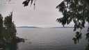 ./images/koeye/fitz-hugh/20260815/fitz-hugh20260815_142002M.jpg