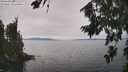 ./images/koeye/fitz-hugh/20260815/fitz-hugh20260815_142501M.jpg