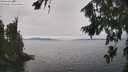 ./images/koeye/fitz-hugh/20260815/fitz-hugh20260815_143002M.jpg