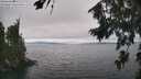 ./images/koeye/fitz-hugh/20260815/fitz-hugh20260815_145001M.jpg