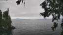 ./images/koeye/fitz-hugh/20260815/fitz-hugh20260815_152001M.jpg
