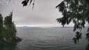 ./images/koeye/fitz-hugh/20260815/fitz-hugh20260815_152501M.jpg