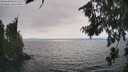 ./images/koeye/fitz-hugh/20260815/fitz-hugh20260815_163501M.jpg