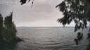 ./images/koeye/fitz-hugh/20260815/fitz-hugh20260815_164002M.jpg