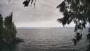 ./images/koeye/fitz-hugh/20260815/fitz-hugh20260815_164501M.jpg