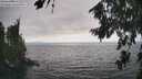 ./images/koeye/fitz-hugh/20260815/fitz-hugh20260815_165501M.jpg