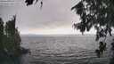 ./images/koeye/fitz-hugh/20260815/fitz-hugh20260815_170501M.jpg