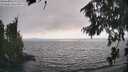 ./images/koeye/fitz-hugh/20260815/fitz-hugh20260815_171001M.jpg