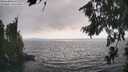 ./images/koeye/fitz-hugh/20260815/fitz-hugh20260815_171502M.jpg