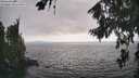 ./images/koeye/fitz-hugh/20260815/fitz-hugh20260815_172001M.jpg