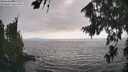 ./images/koeye/fitz-hugh/20260815/fitz-hugh20260815_172501M.jpg