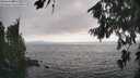 ./images/koeye/fitz-hugh/20260815/fitz-hugh20260815_173002M.jpg