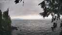 ./images/koeye/fitz-hugh/20260815/fitz-hugh20260815_173501M.jpg