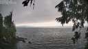 ./images/koeye/fitz-hugh/20260815/fitz-hugh20260815_174501M.jpg