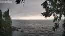 ./images/koeye/fitz-hugh/20260815/fitz-hugh20260815_175501M.jpg